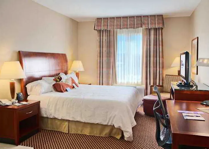 Hotel Hilton Garden 3*