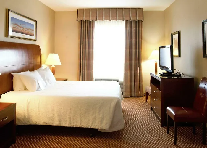 Hotel Hilton Garden 3*